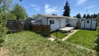 back yard 1