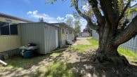back yard