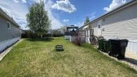 back yard 4