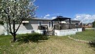 back yard 7