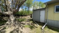 back yard and shed