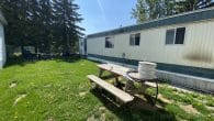 back yard 1