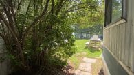 back yard