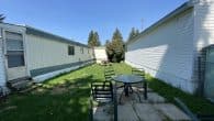 back yard 3