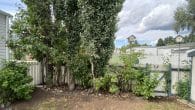 back fence green space