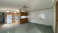 livingroom kitchen