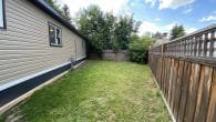 north side yard 3
