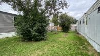back yard-1