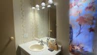 main bathroom vanity