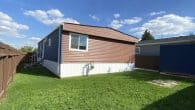 back yard (2)