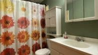 main bath (4)