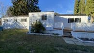 yard (3)